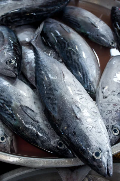 Fresh Tuna fish at the market — Stock Photo, Image