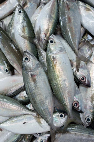 Pazarda taze balık.