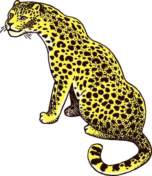 Λεοπάρδαλη — Διανυσματικό Αρχείο