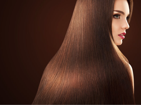 Brown Hair. Portrait of Beautiful Woman with Long Hair.