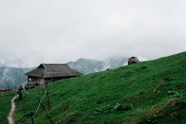 Ukrayna Karpatlarının dağ manzarası
