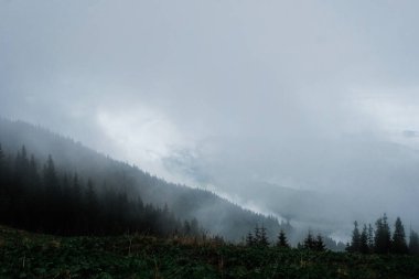 Ukrayna Karpatlarının dağ manzarası