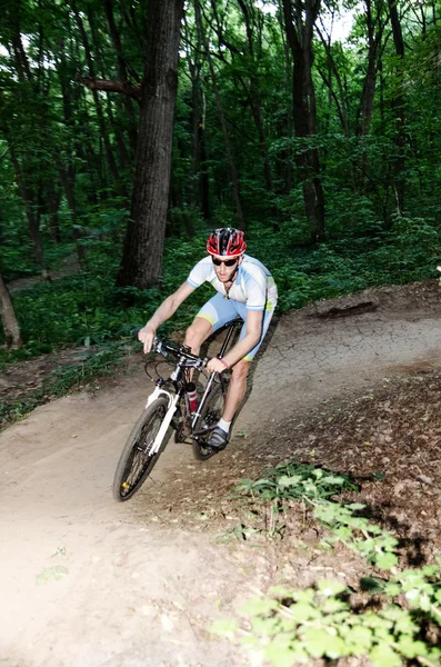 genç adam ormanda Beyaz Bisiklet
