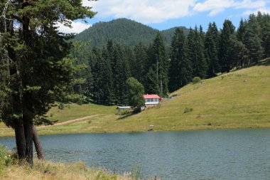 Villa dospat Gölü, Bulgaristan