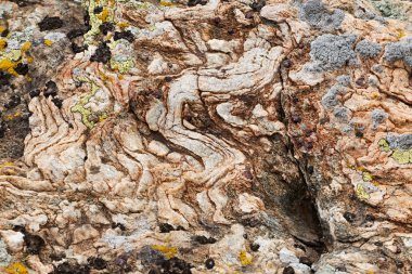 Magma rock garnet crystals ile