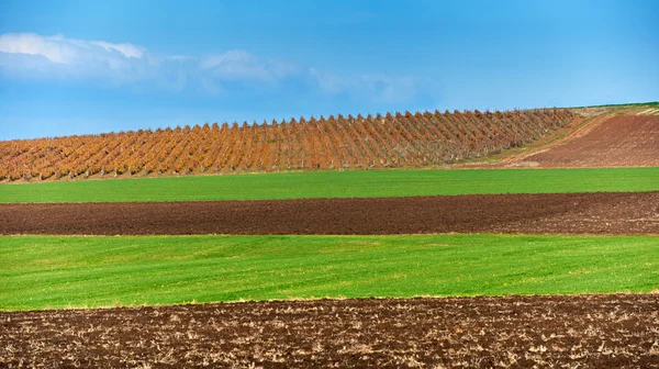 Terra e campos verdes no outono — Fotografia de Stock