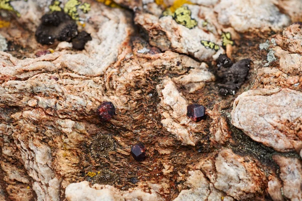 Magma rock with garnet crystals — Stock Photo, Image