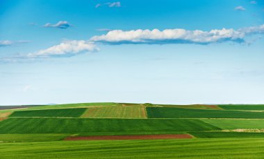 Cultivated land in spring clipart