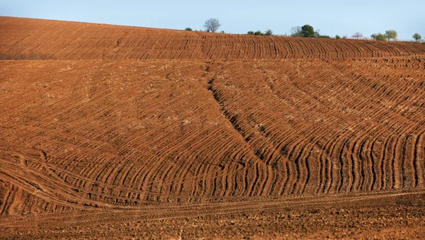 Cultivated land in Bulgaria — Stock Photo, Image