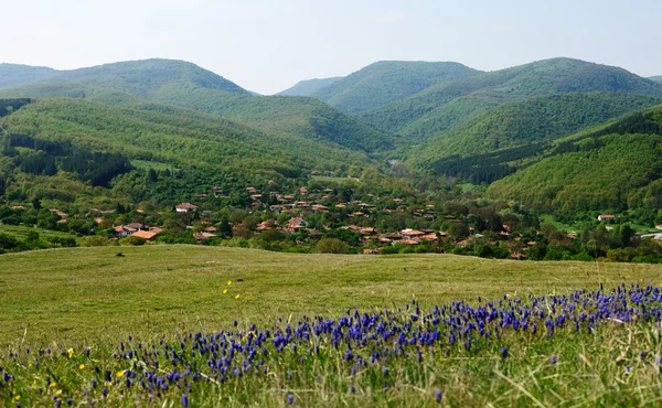 Medven село в весна — стокове фото