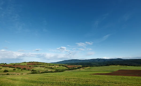 Jarní krajina s modrou oblohou — Stock fotografie