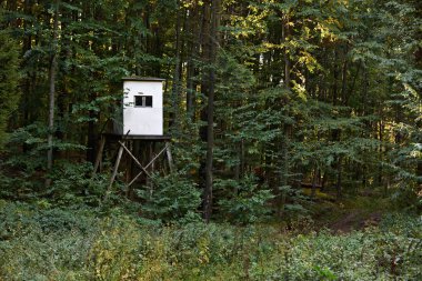 Lodge çekimarmario con espejo