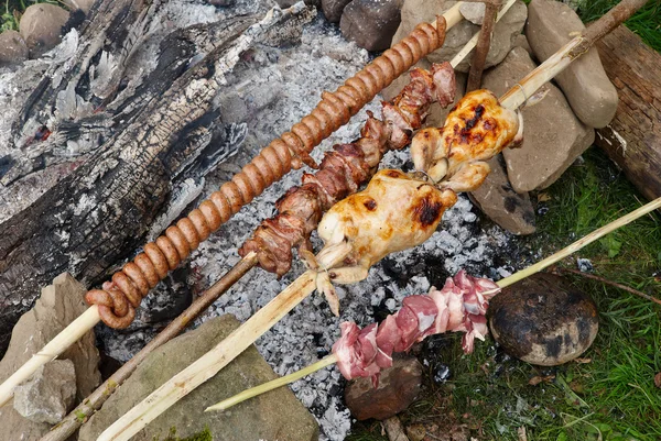 Barbecue rosting chicken and meat — Stock Photo, Image