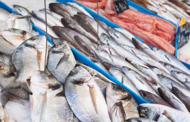 taze balık pazarında Fransa