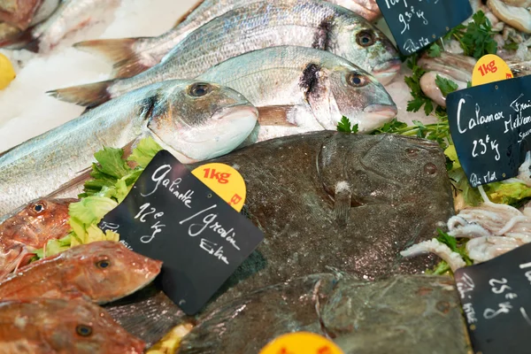 Peixes mediterrânicos frescos no mercado francês — Fotografia de Stock