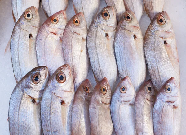 Pesce in vendita sul mercato — Foto Stock