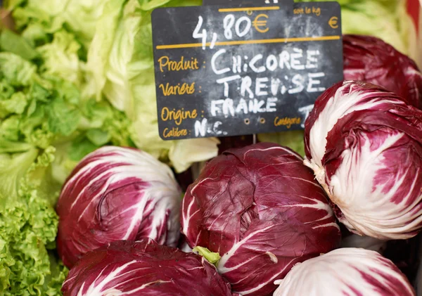 Fresh chicory vegetables — Stock Photo, Image