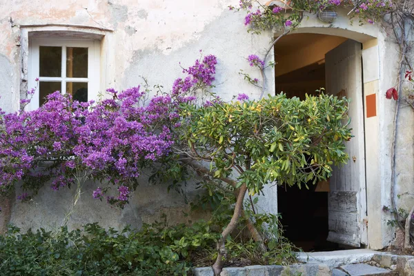 Provence ház virágok — Stock Fotó