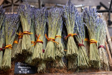 Lavandin de Provence