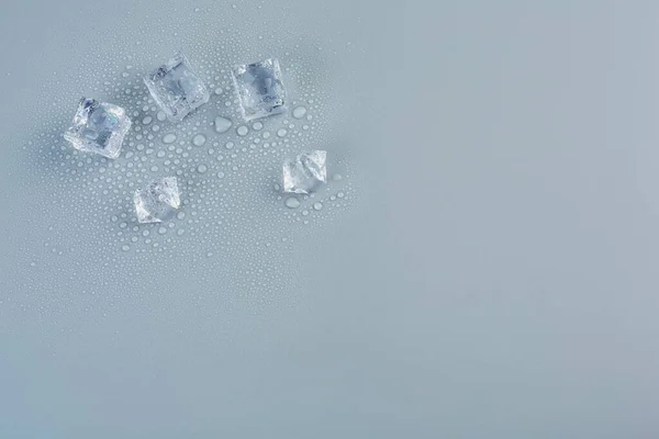 Five ice cubes in melted water on a gray background — Φωτογραφία Αρχείου