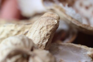 Boş fıstık kabukları yere saçılmış. Fıstık Kabuğu Arkaplanı.