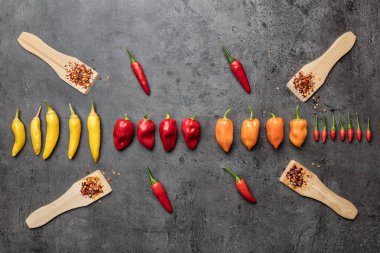 Kırsal arka planda taze ve kurutulmuş kırmızı biber çeşitleri