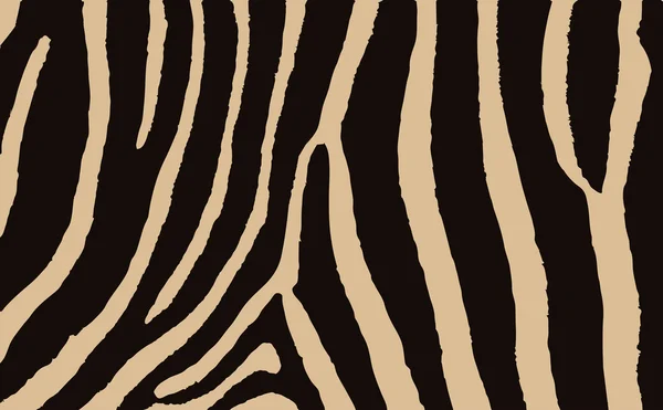 Colorful Animal Skin Textures Of Zebra. Vector Illustration Wild Pattern, Eps 10 — Stock Vector