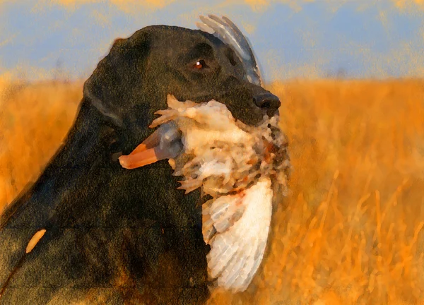oil painting portrait of black labrador with duck