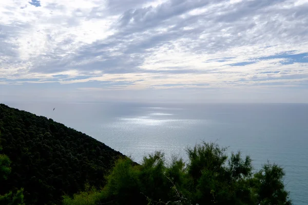 Populonia Stock Picture