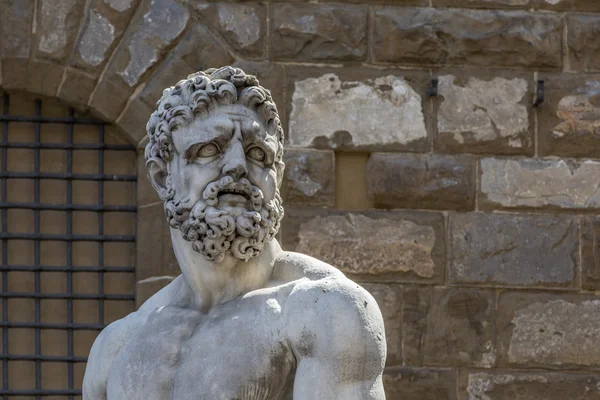 Statue of Hercules and Cacus in the Piazza della Signoria, Flore — Stock Photo, Image