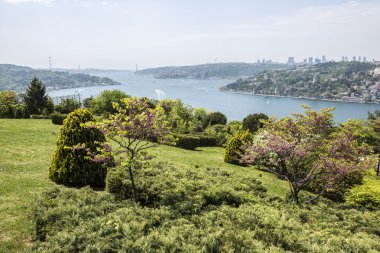 Bosphorus view from Otagtepe in Istanbul clipart