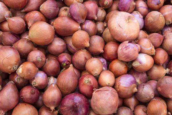 Macro view of fresh onions — Stock Photo, Image