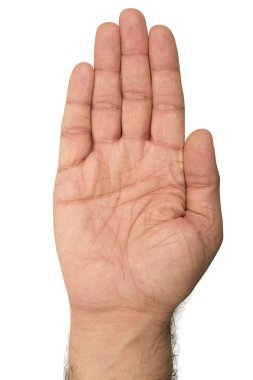 beyaz zemin üzerine el Palm tarafı