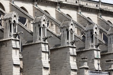 Paris, Fransa 'daki Notre dame Katedrali