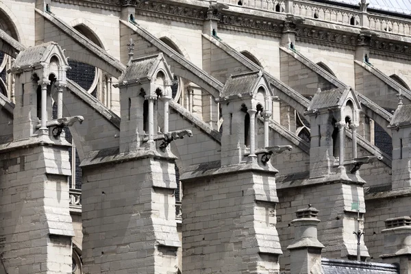 Не дама кафедрального собору в Паріс, Франс. Ліцензійні Стокові Фото