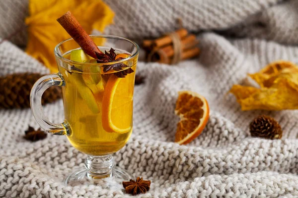 Ekoseli kumaş ve fotokopi alanı üzerine sıcak bir içecek. Noel sıcak beyaz şarabı portakal, bal, tarçın çubukları ve yıldız anasonlu kuru yapraklı cam bardakta. Baharatlı sıcak içecek.