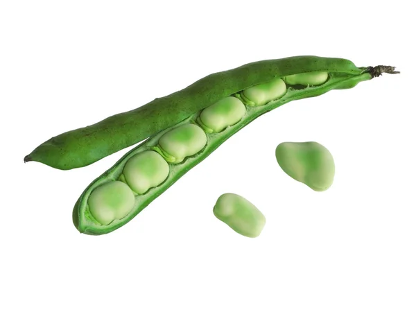 Broadbeans w strąkach Obrazek Stockowy