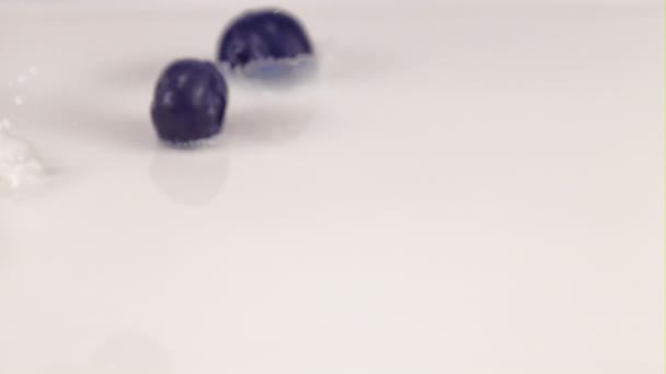 超スローモーション新鮮なブルーベリーは、スプラッシュでミルクに落ちる. — ストック動画