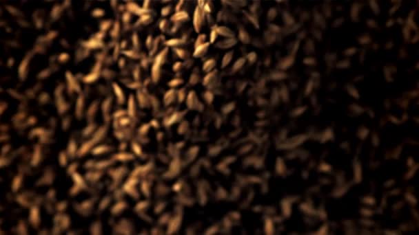 Super slow motion un mucchio di cereali di segale salgono. Girato su una telecamera ad alta velocità a 1000 fps. — Video Stock