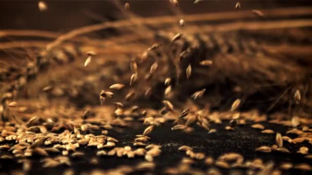 Le mouvement super lent des grains de seigle tombe sur la table. Filmé par une caméra haute vitesse à 1000 ips. — Video