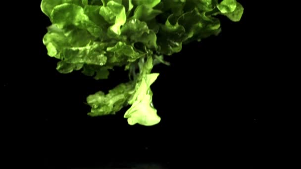 Super slow motion fresh lettuce leaves fall on the table. Filmed on a high-speed camera at 1000 fps. — Stock Video
