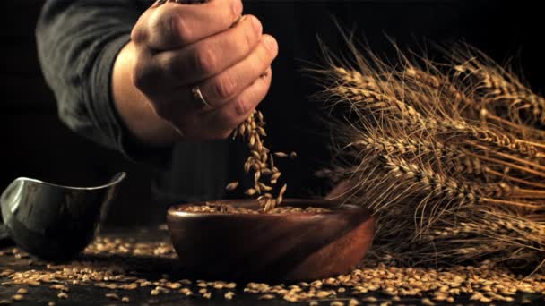 Il movimento super lento dei chicchi d'orzo dalla mano dell'uomo cade nella ciotola. Girato su una telecamera ad alta velocità a 1000 fps. — Video Stock