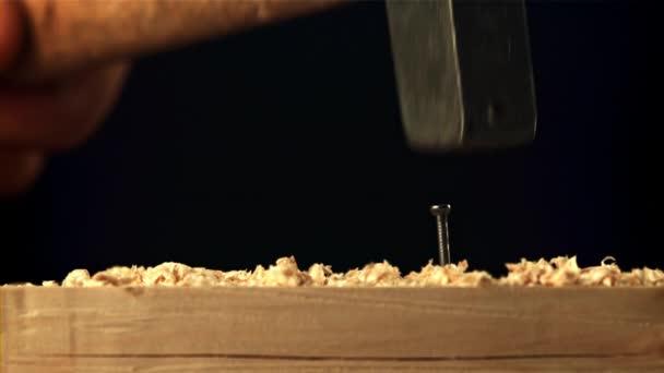 Met een hamer nagel is genageld in de boom. Gefilmd is slow motion 1000 fps. — Stockvideo