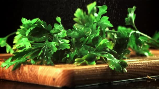 Drops of water fall on fresh parsley. Filmed is slow motion 1000 fps. — Stock Video