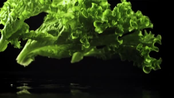 Marul yaprakları masaya su damlalarıyla düşer. Film yavaş çekimde 1000 fp.. — Stok video