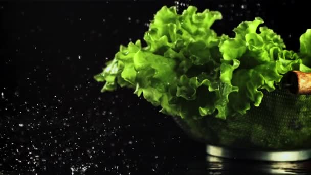 Вода падає на листя салату в друшляку. Знімається повільний рух 1000 к/с . — стокове відео