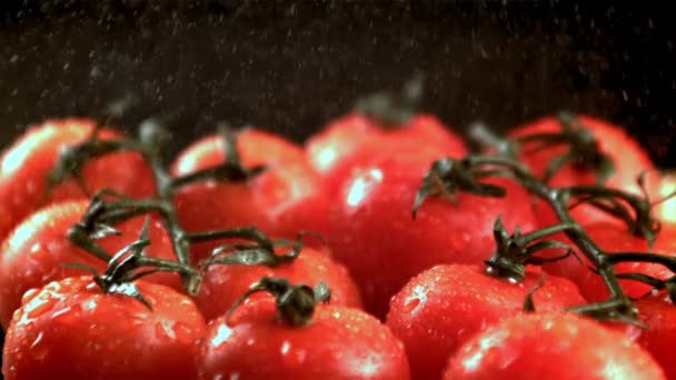 Olgun domateslerin üzerine su damlaları düşer. Film yavaş çekimde çekilmiştir. 1000 fp.. — Stok video