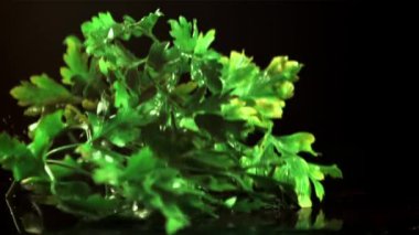 Masaya bir demet maydanoz düşer. Film yavaş çekimde 1000 fp..