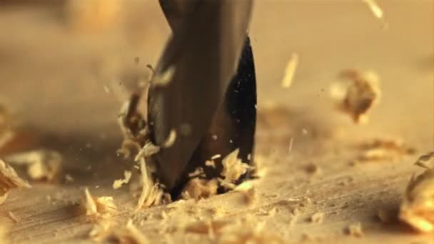 Une perceuse est faite dans un trou dans un arbre avec de la sciure de bois. Filmé est au ralenti 1000 ips. — Video