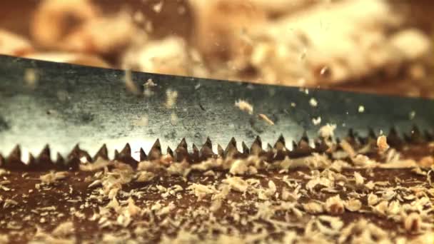 Sawdust falls on the table. Filmed is slow motion 1000 frames per second. — Wideo stockowe